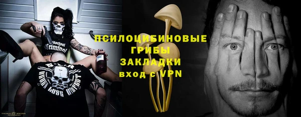 бошки Бронницы