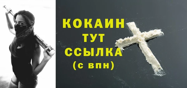 бошки Бронницы