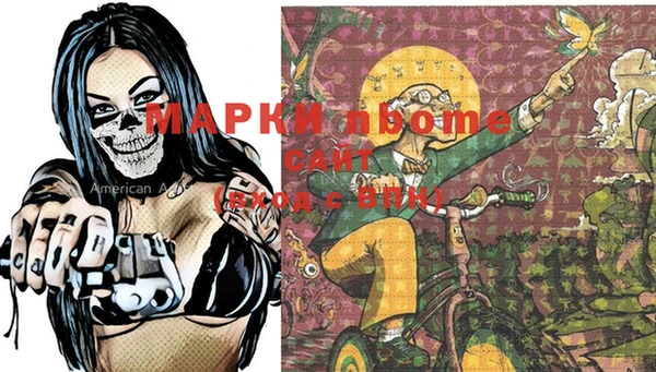 бошки Бронницы
