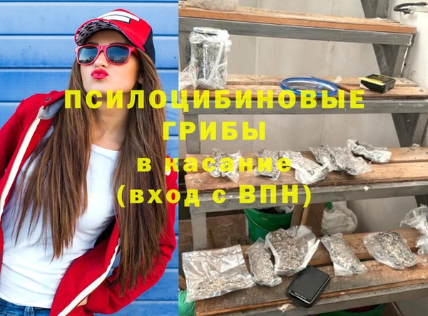 бошки Бронницы