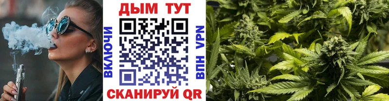 Конопля AK-47  где можно купить наркотик  Новосокольники 